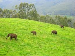 Munnar