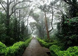 Nandi Hills