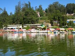 Ooty