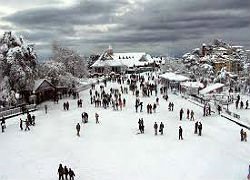 Shimla